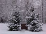 DSC02685.JPG