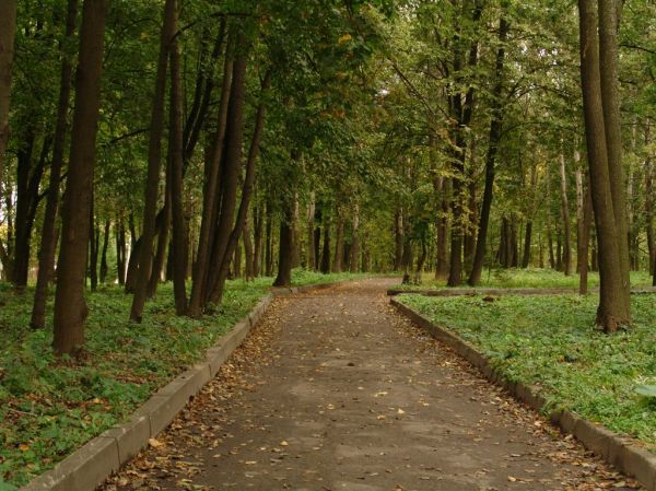 Парк "соловьи"..